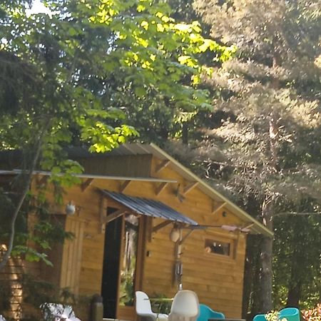Chalet Libellule Domaine De La Mamounette Champclause Екстер'єр фото