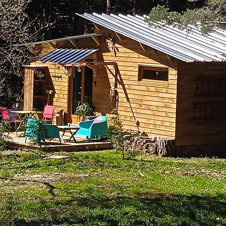 Chalet Libellule Domaine De La Mamounette Champclause Екстер'єр фото
