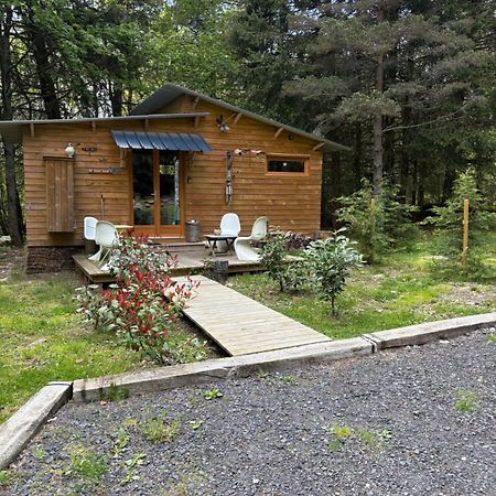 Chalet Libellule Domaine De La Mamounette Champclause Екстер'єр фото