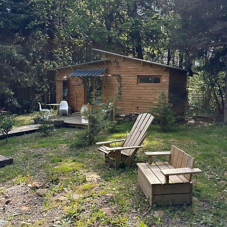 Chalet Libellule Domaine De La Mamounette Champclause Екстер'єр фото