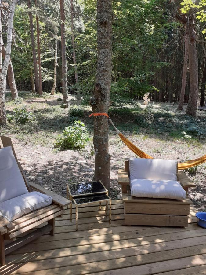 Chalet Libellule Domaine De La Mamounette Champclause Екстер'єр фото