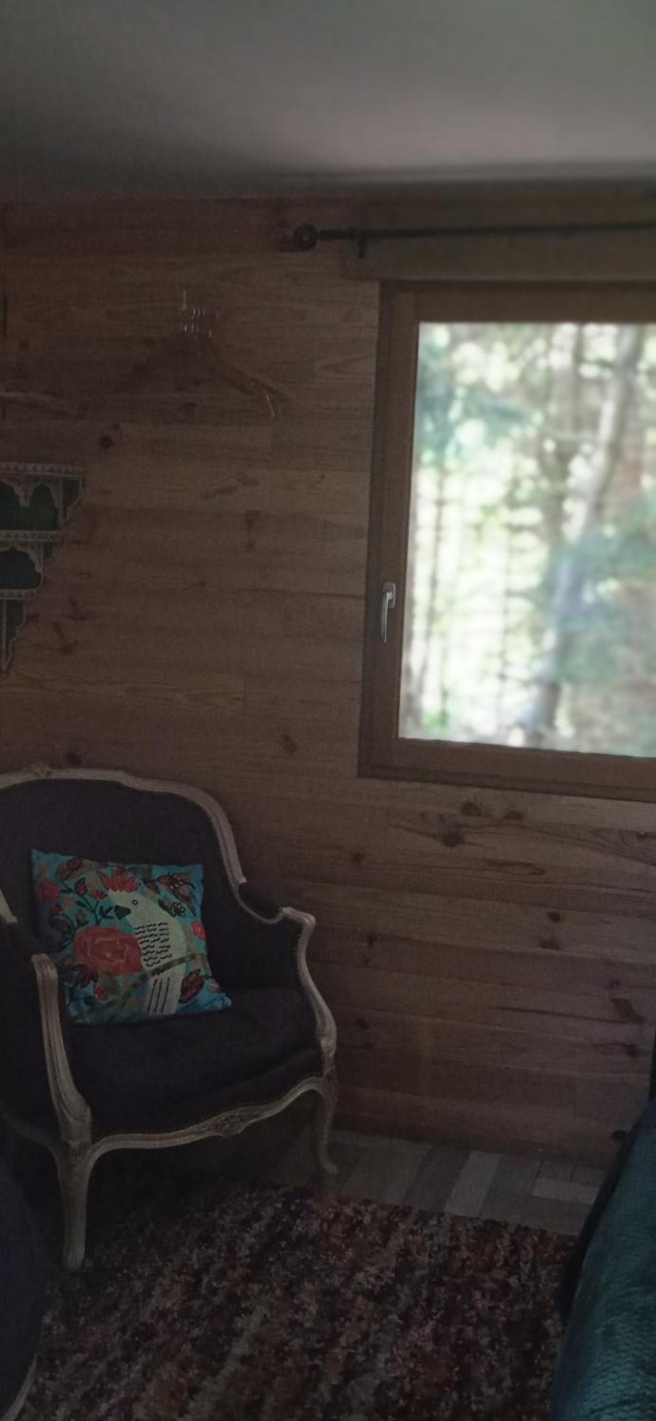 Chalet Libellule Domaine De La Mamounette Champclause Екстер'єр фото