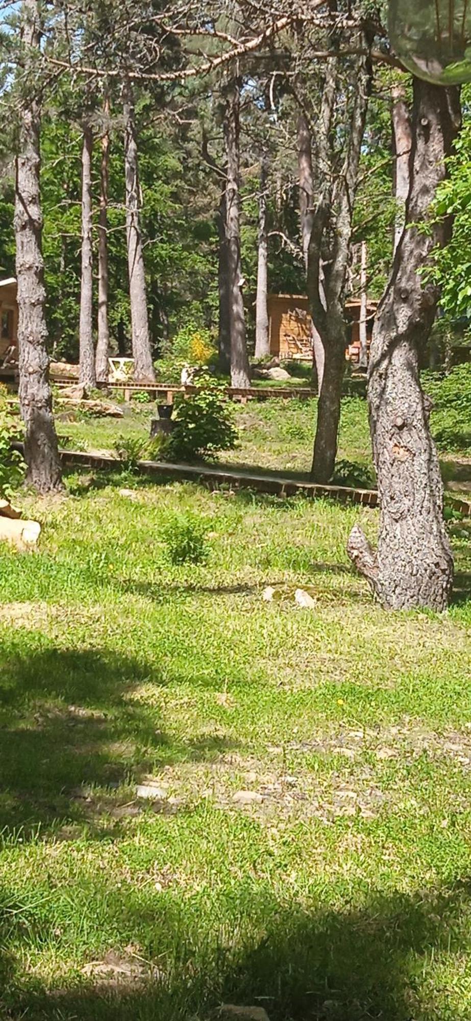 Chalet Libellule Domaine De La Mamounette Champclause Екстер'єр фото